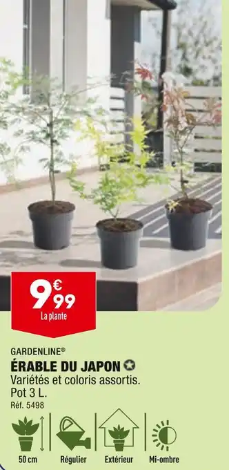 ALDI GARDENLINE ÉRABLE DU JAPON offre