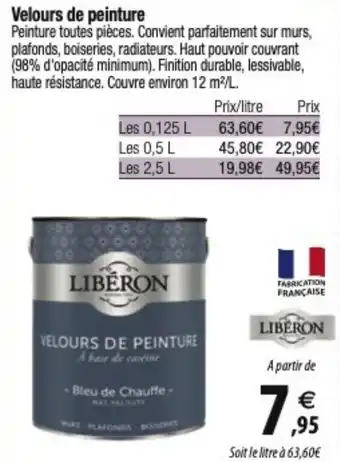 Tridôme Velours de peinture offre