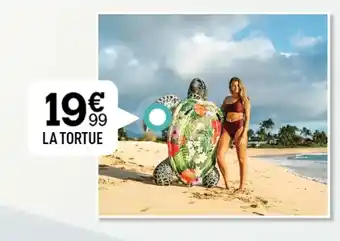 Centrakor LA TORTUE offre