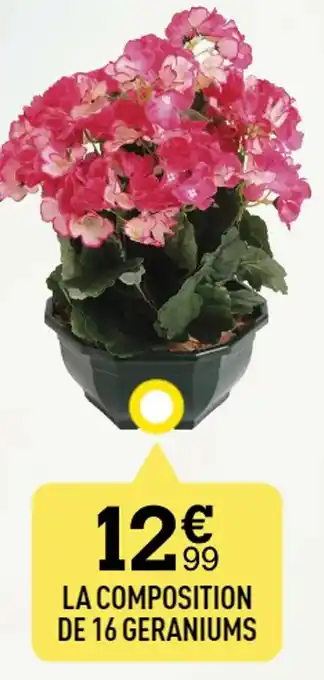 Centrakor LA COMPOSITION DE 16 GERANIUMS offre