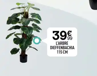 Centrakor L'ARBRE DIEFFENBACHIA 115 CM offre