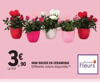 E.Leclerc MINI ROSIER EN CÉRAMIQUE offre