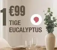 Gifi Éventail offre