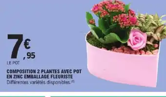 E.Leclerc Express COMPOSITION 2 PLANTES AVEC POT EN ZINC EMBALLAGE FLEURISTE offre