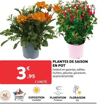 Bricomarché PLANTES DE SAISON EN POT offre