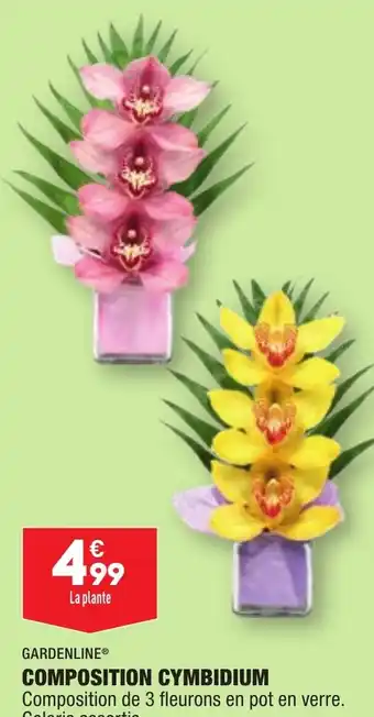 ALDI COMPOSITION CYMBIDIUM offre