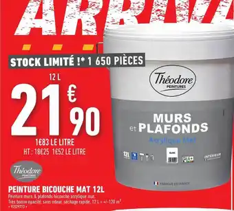 Brico Cash Peinture Bicouche Mat 12l Théodore offre