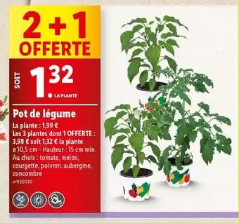 Lidl Pot de légume offre