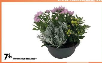 Auchan Composition 3 plantes offre