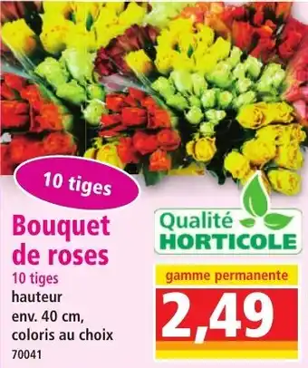 Norma Bouquet de roses offre