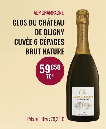 Nicolas CHÂTEAU DE BLIGNY AOP CHAMPAGNE CLOS DU CUVÉE 6 CÉPAGES BRUT NATURE offre