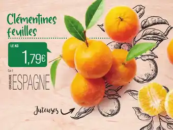 Clémentines feuilles