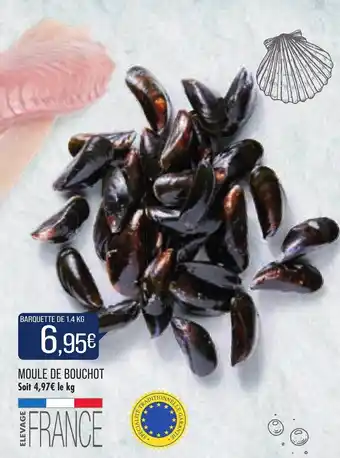 Moule de bouchot