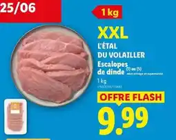 Carrefour Fauteuil louga offre