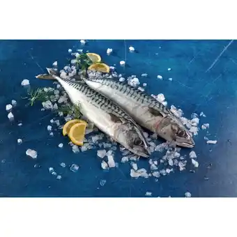 Auchan Maquereau offre