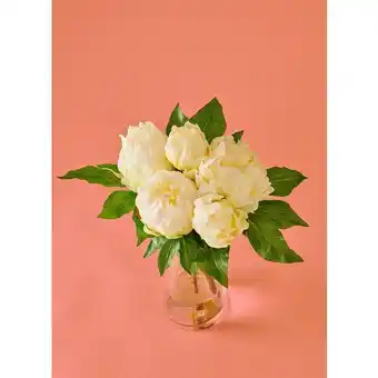Auchan Bouquet De 5 Pivoines offre
