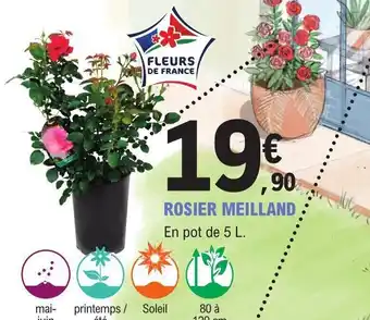 E.Leclerc ROSIER MEILLAND offre