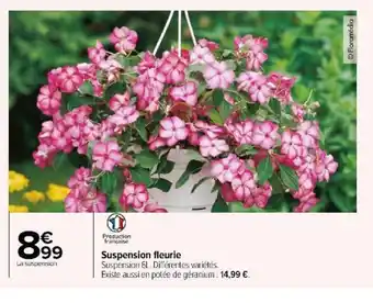 Carrefour Suspension fleurie offre