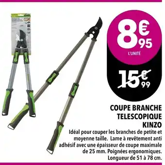 Coupes Branche Telescopique Kinzo