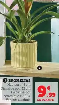 Carrefour Drive Sanex - déodorant à bille offre