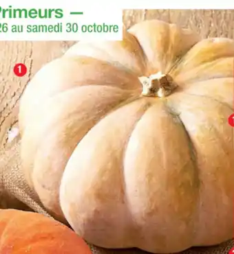 Cora x Carrefour Courge Muscade offre