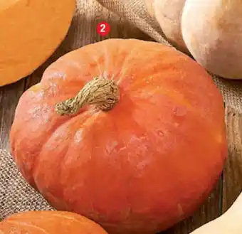 Potimarron