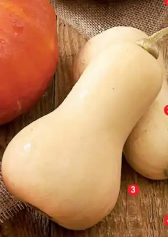 Butternut