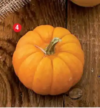Cora x Carrefour Citruille Jack O'Lantern offre