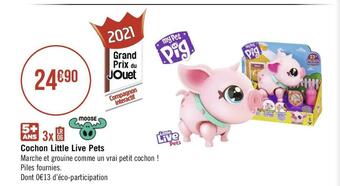Cochon little live pets