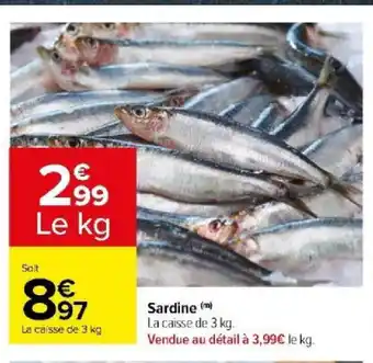 Carrefour Sardine (m) offre