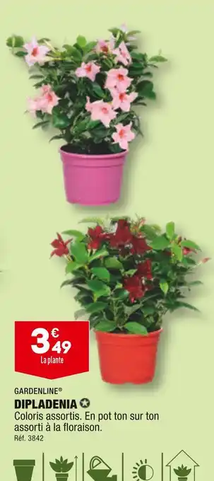 ALDI GARDENLINE DIPLADENIA offre