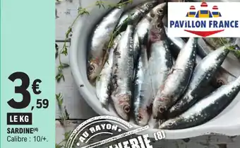 E.Leclerc SARDINE (4) offre