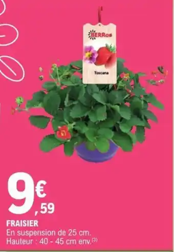 E.Leclerc FRAISIER offre