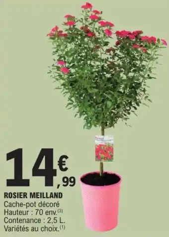 E.Leclerc ROSIER MEILLAND offre