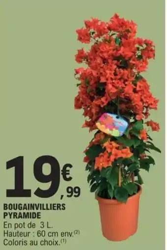 E.Leclerc BOUGAINVILLIERS PYRAMIDE offre