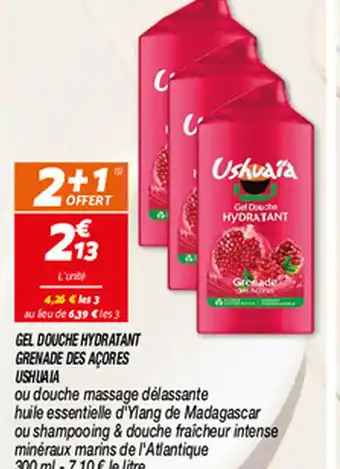 Netto GEL DOUCHE HYDRATANT GRENADE DES AÇORES USHUAIA offre