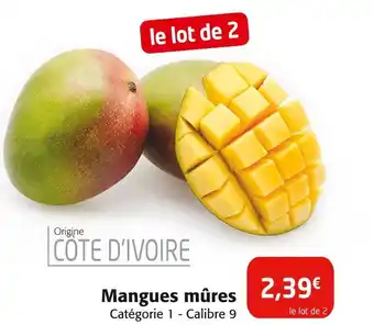 Colruyt Mangues mûres offre