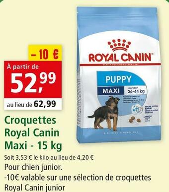 Maxi Zoo Royal canin croquettes maxi offre