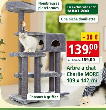 Maxi Zoo Arbre à chat charlie offre