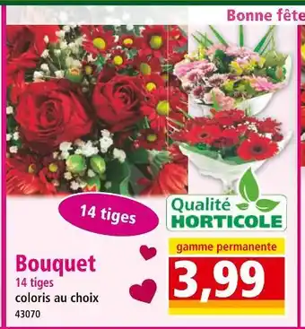 Norma Bouquet 14 tiges offre