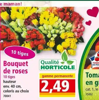 Norma Bouquet de roses 10 tiges offre