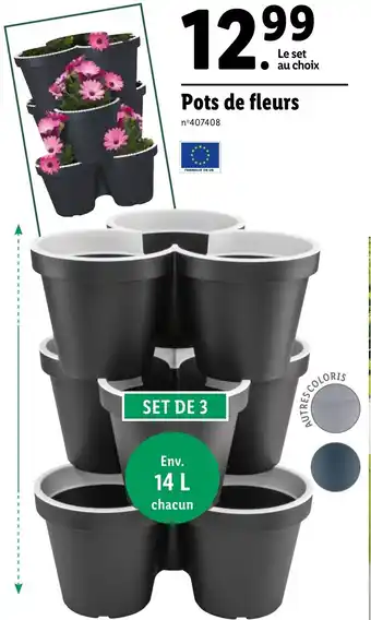 Lidl Pots de fleurs offre