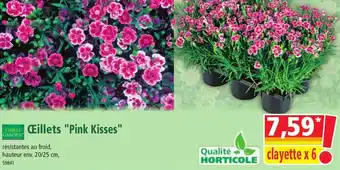 Norma Œillets "Pink Kisses" offre
