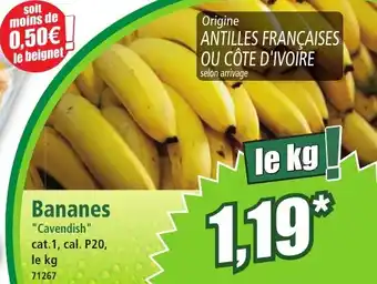 Norma Bananes offre