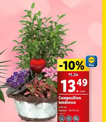 Lidl Composition tendresse offre