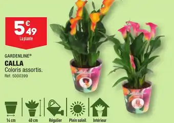 ALDI CALLA offre