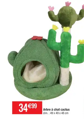 Cora x Carrefour Arbre à chat cactus offre