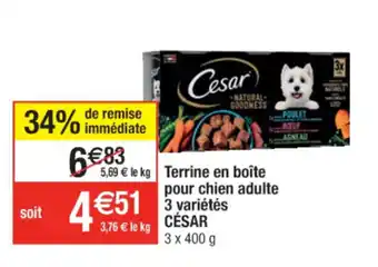 Terrine en boîte pour chien adulte 3 variétés cesar