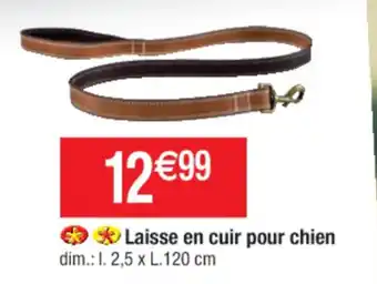 Cora x Carrefour Laisse en cuir pour chien offre