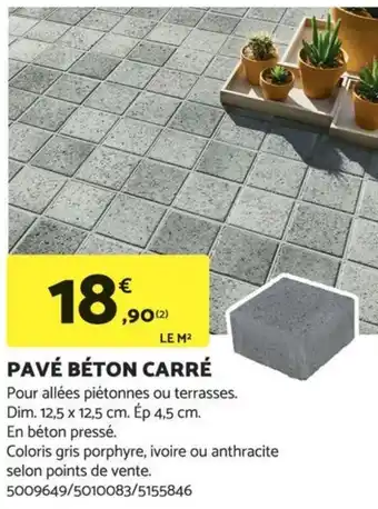 Bricomarché PAVÉ BÉTON CARRÉ offre